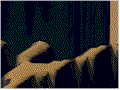 gif animacyjny 59 KB